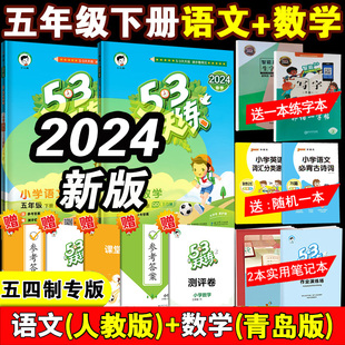 2024新版小学53天天练五年级下册语文书人教部编版+数学青岛版五四制 五下课本同步训练5年级练习册全套测试卷辅导书五三5+3天天练