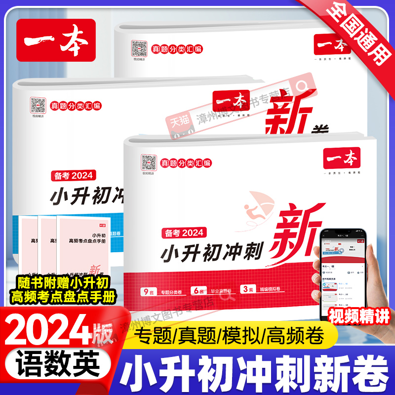 2024新版一本小升初冲刺新卷语文