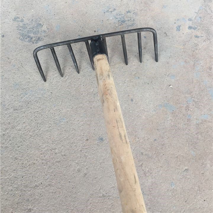 八钉耙