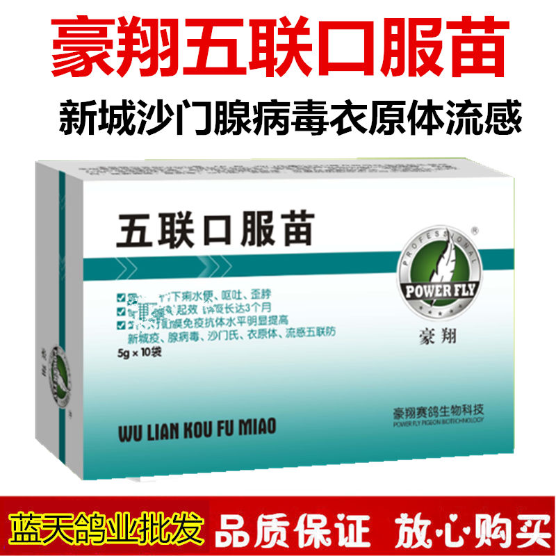 豪翔鸽药 五联口服苗 信鸽新城疫腺病毒沙门氏衣原体流感疫苗