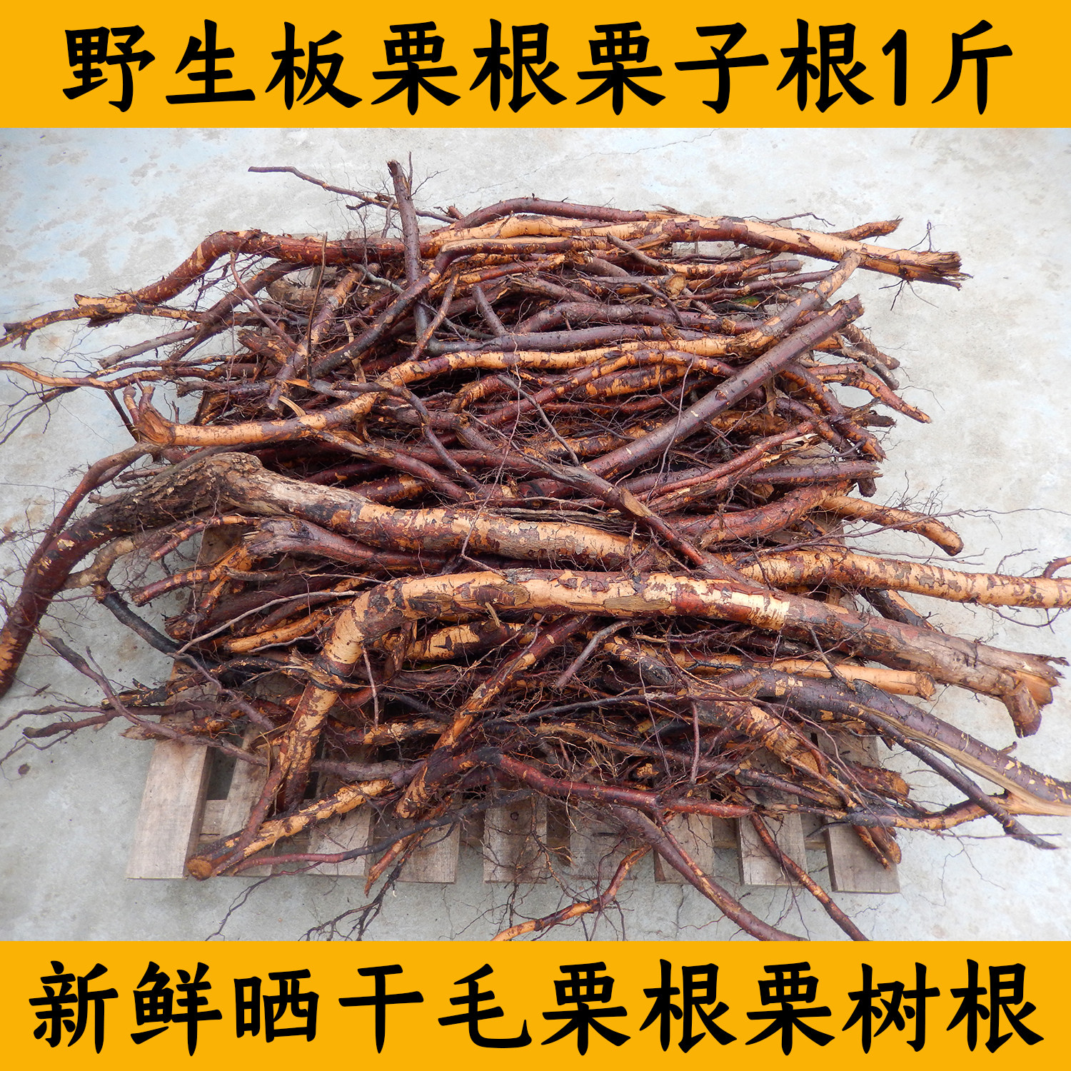 板栗根 1斤新鲜野生 魁栗毛栗风栗锥栗树根板栗树根栗根老根野生