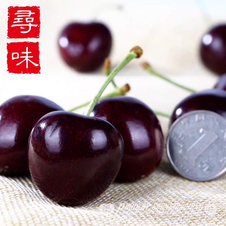 国产车厘子新鲜水果脆甜大果美早大樱桃现货5斤双勾加大顺丰包邮在类目 水产肉类/新鲜蔬果/熟食, 新鲜水果, 其它中 - 来自Buy2taobao.com提供专业的淘宝代购服务