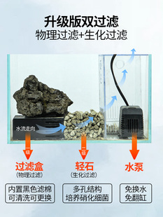 水陆雨林造景材料植物两栖水路生态缸鱼缸微景观套餐全套定制成品