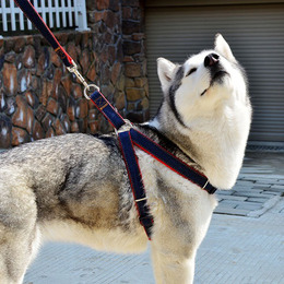 宠物胸背带狗链子狗狗牵引绳小型犬泰迪狗绳子中型大型犬金毛用品