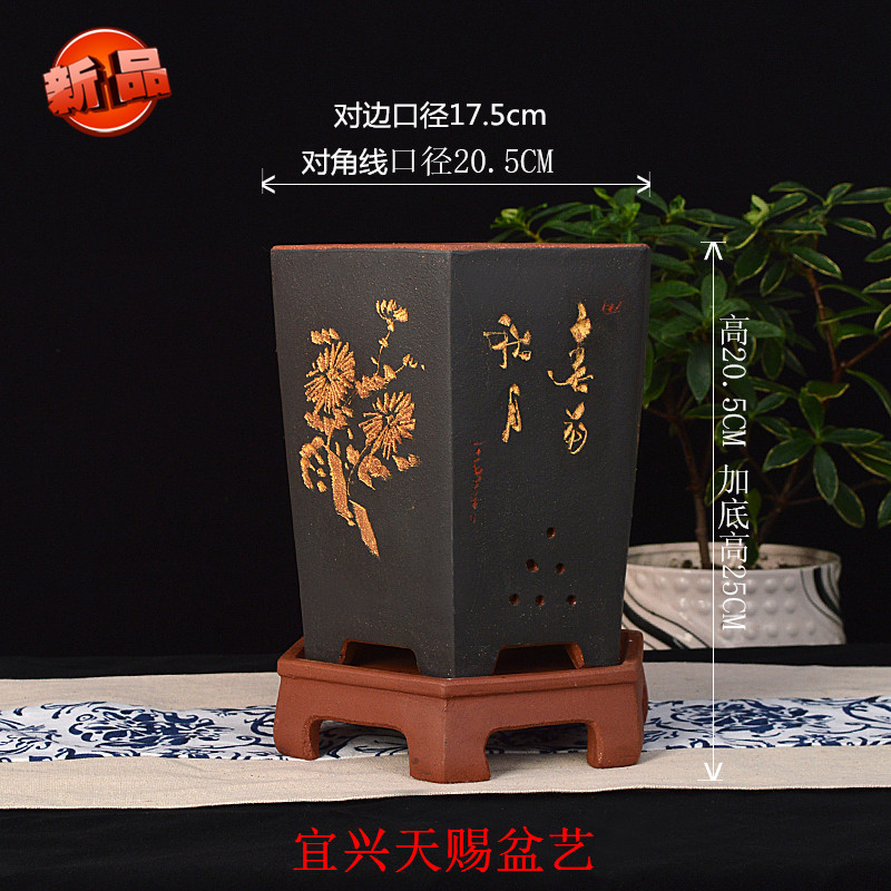 宜兴紫砂兰花盆091六方精品兰绿萝吊兰景植物带托透气包邮