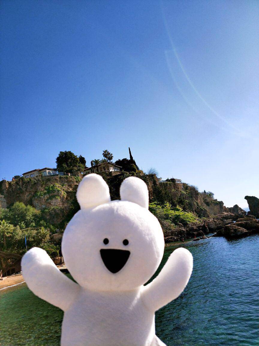 优惠券后38元,礼物韩国夸张兔网红兔毛绒玩具儿童玩