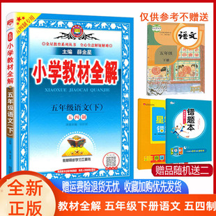 小学教材全解语文五年级下册部编人教版五四制 2023版薛金星五年级下册语文人教版54制同步教材讲解解读练习册七彩课堂辅导书