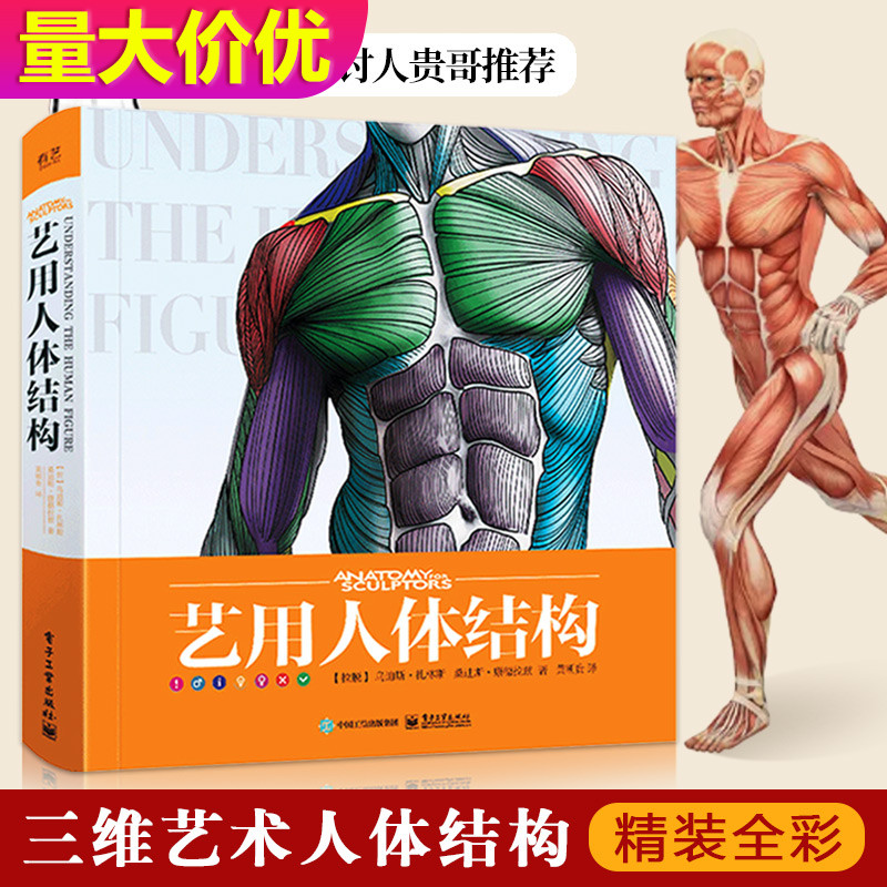 全彩【11年老店】黄朝贵哥艺用人体结构解剖解刨教程大师速写画集理解