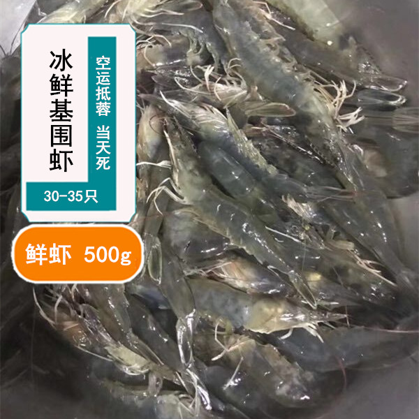 成都霸道海鲜 新鲜当日死明虾鲜虾明虾500g鲜冻鲜虾 当天死不隔夜