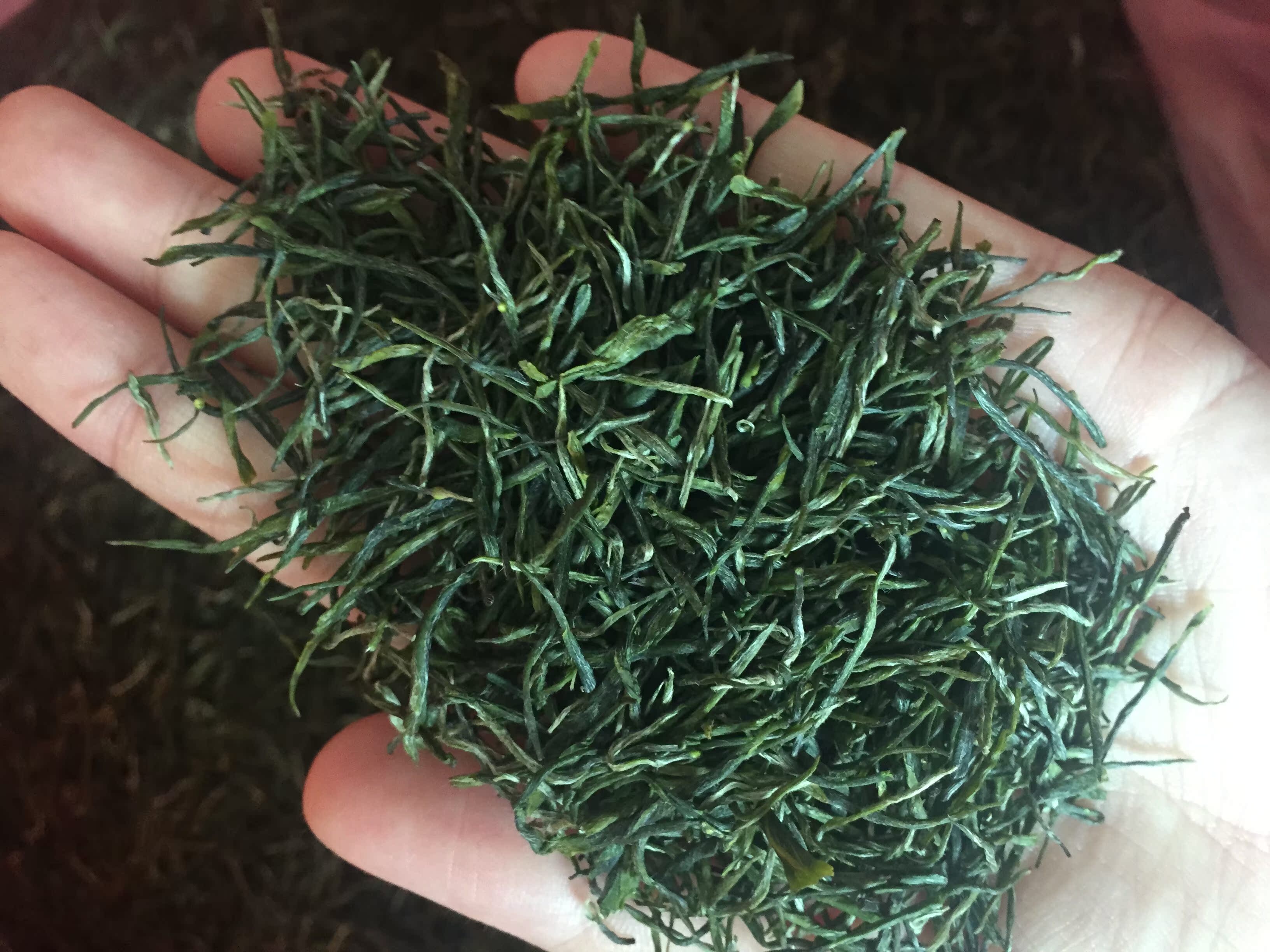 古丈毛尖茶 湖南绿茶2018明前湘西毛尖特级新茶清货促销一斤500克_不