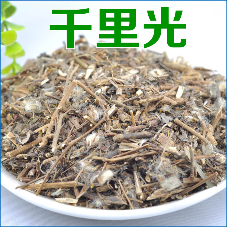 中药材 千里光 干货千里光 九里明 九里光 一扫光 500g包邮