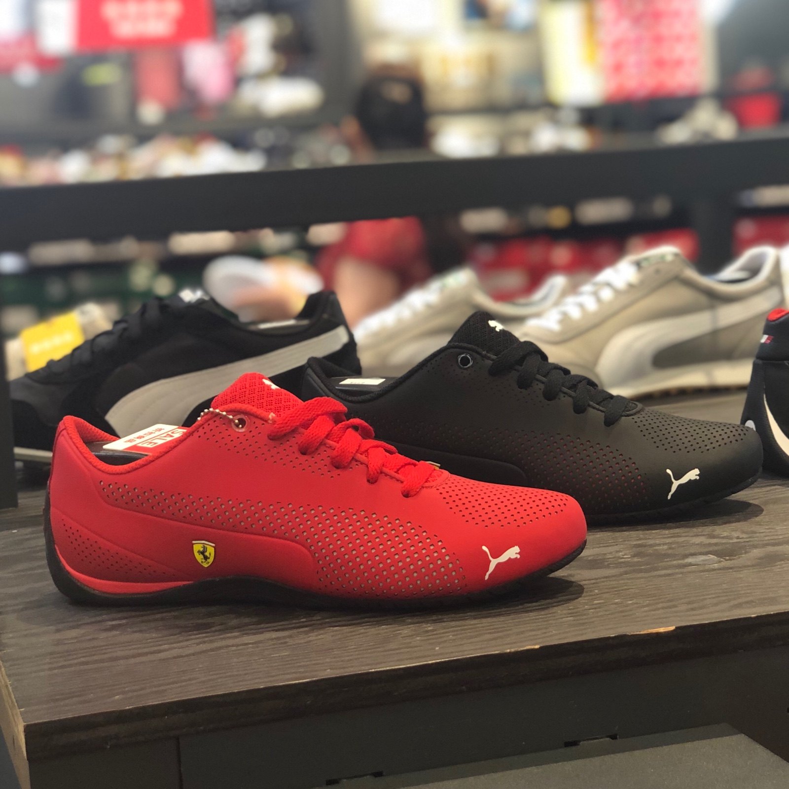 puma/彪马男士运动鞋舒适系带圆头低帮宝马系列正品545769