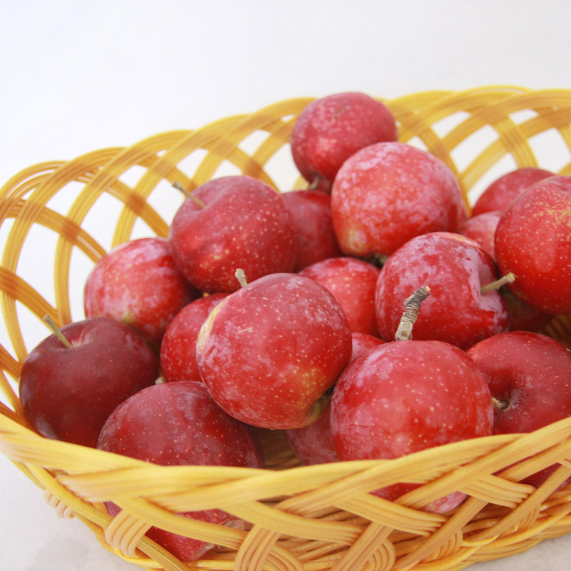 怀来特产八棱海棠 新鲜孕妇水果 酸甜大海棠果 红色小苹果5斤