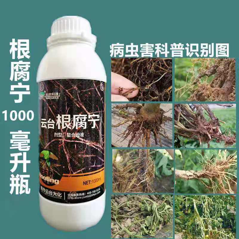 根腐宁土壤消毒杀菌西瓜辣椒果树生根壮苗猝倒病立枯病根腐病枯萎