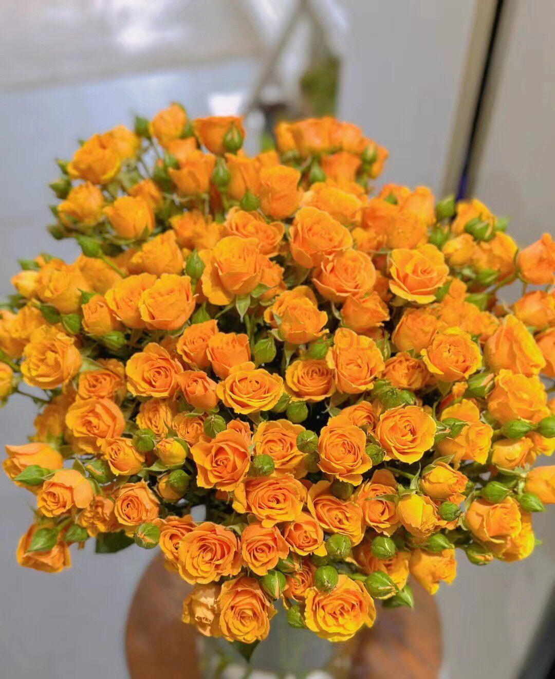 枫糖泡泡云南昆明鲜花基地直发家庭鲜切花花材直批新鲜修剪玫瑰