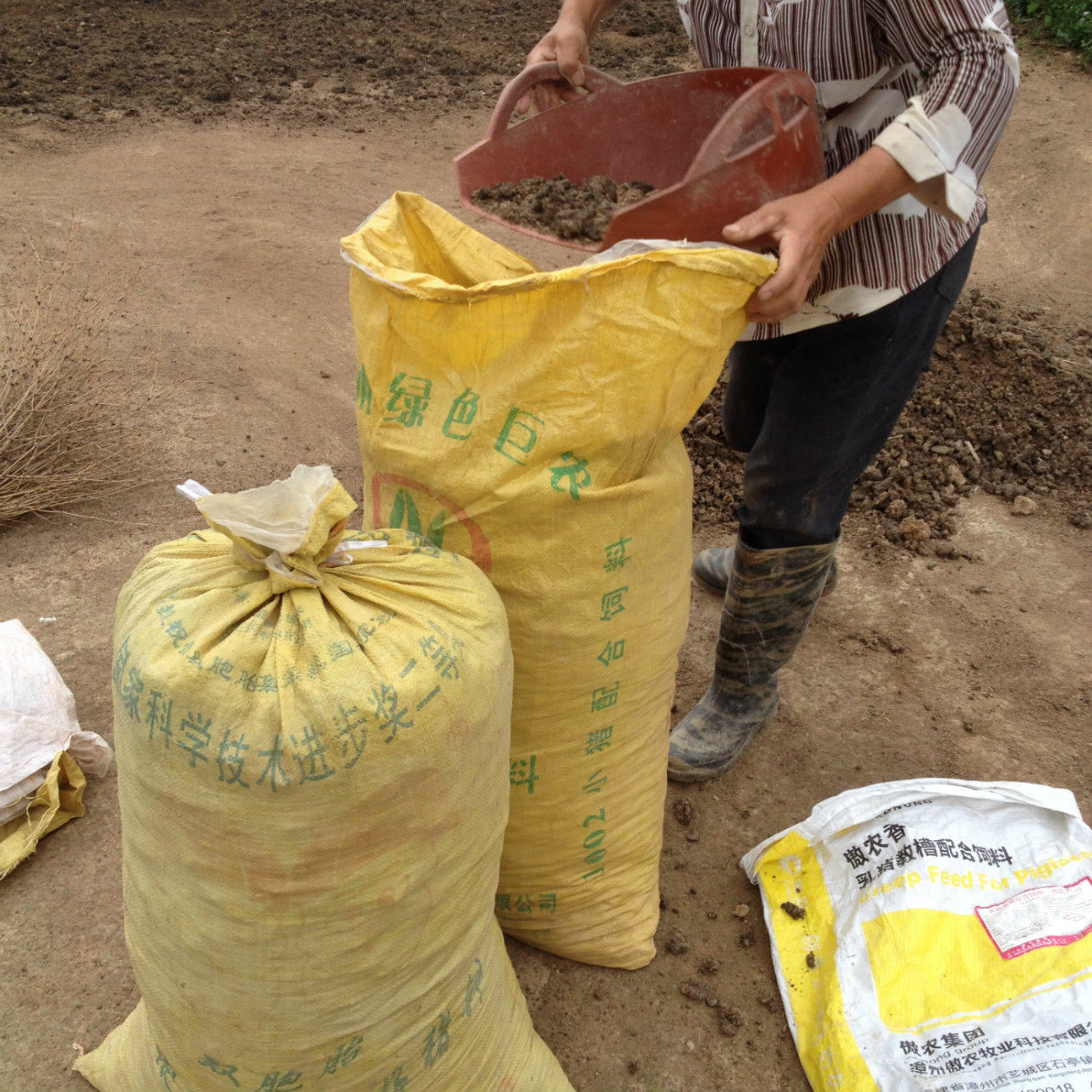 干猪粪有机肥料无加土猪屎非鸡粪鸡屎肥发酵 5斤 10斤包邮