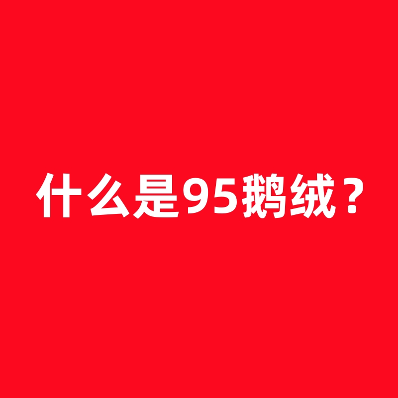 往下看视频介绍——《什么是95鹅绒，95鹅绒，吊吊绒？》