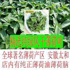 干薄荷叶500g新鲜干薄荷叶  薄荷花茶清凉茶纯绿清香  产区直销