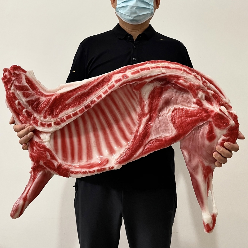 仿真羊肉模型展示生肉样品羊腿羊排道具吃播用品影视拍摄生全羊假