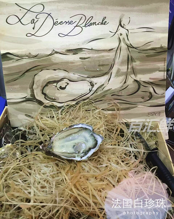 【海洋女神生蚝】(5只起售)白珍珠生蚝新鮮鮮活法國進口牡蛎刺身在類目 水產肉類/新鮮蔬果/熟食, 海鮮/水產品/製品, 貝類, 生蠔中 - 來自Buy2taobao.com提供專業的淘寶代購服務
