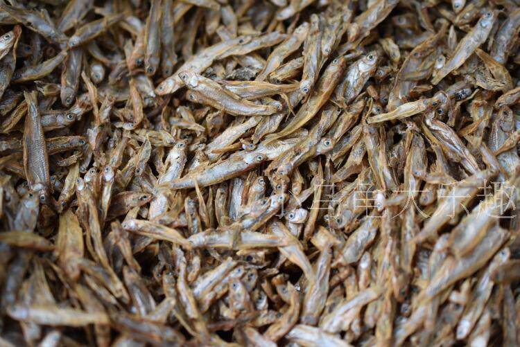 龟粮虾干鱼干无盐淡水巴西龟草龟鳄龟乌龟饲料鸟食仓鼠饲料包邮