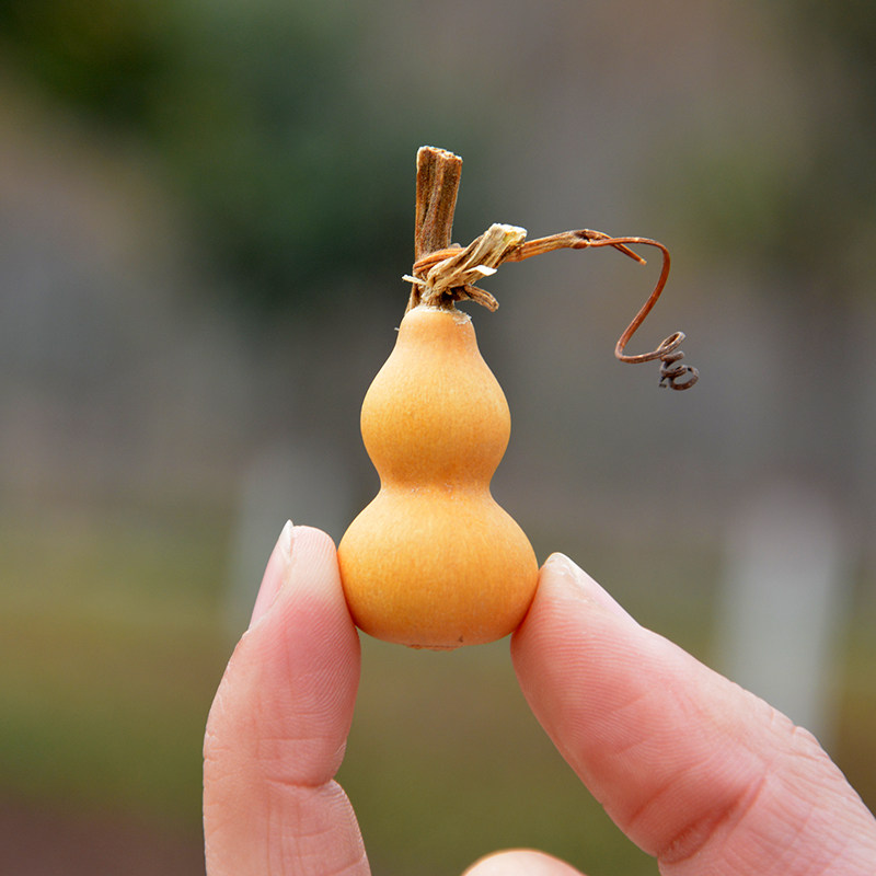 精品草里金小葫芦手捻铁包金文玩天然带龙头把件把玩风水摆件包邮-mc