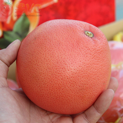 台湾红宝石西柚 9KG 原装箱 红西柚新鲜水果 葡萄柚 正宗台湾货