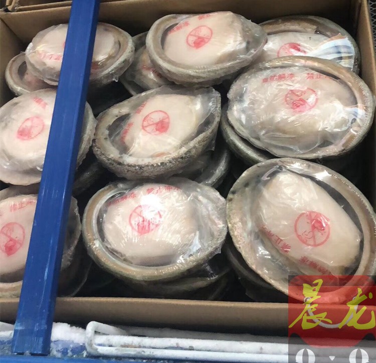 冷冻鲜鲍鱼切片150克/个冻澳鲍免洗带壳鲍鱼酒店乡厨半成品方便菜|ruв категории водной мясо/свежие фрукты и овощи/еда, морепродукты/водные продукты/изделия, моллюски, абалон - от Buy2taobao.com для оказания профессиональной услуги покупки агента Taobao