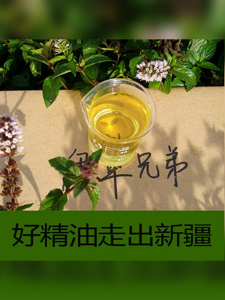 赖希欧薄荷精油  胡椒薄荷新疆精油留兰香绿薄荷精油芳疗