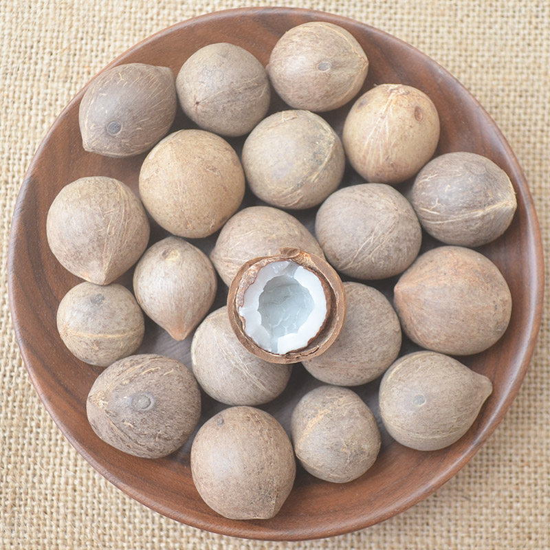 海椰皇小椰子 煲汤料 新鲜250克海椰皇 椰子鸡材料海椰王