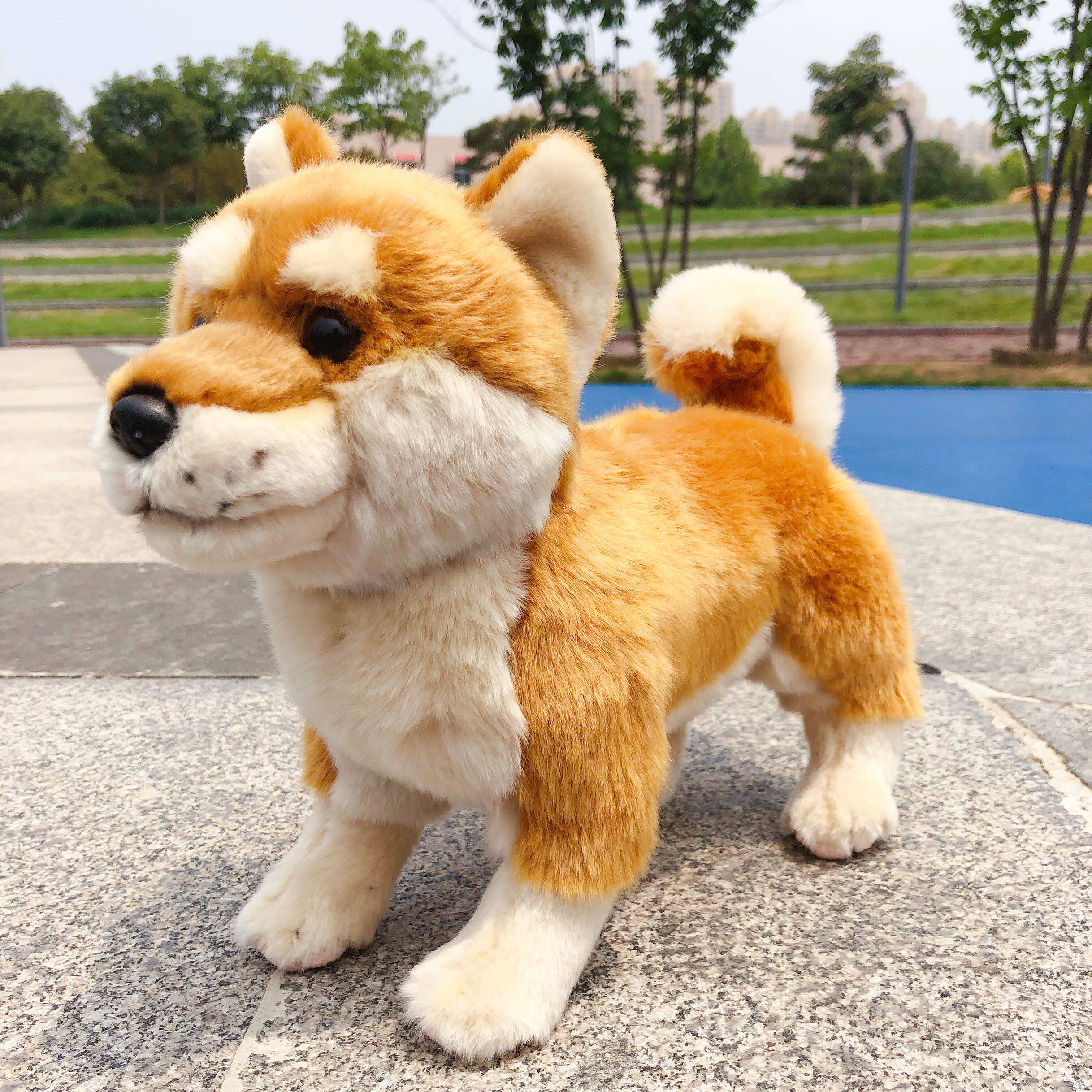 石头爸爸高端公仔店的优惠券大全—柴犬公仔 柴犬毛绒玩具 外贸公仔
