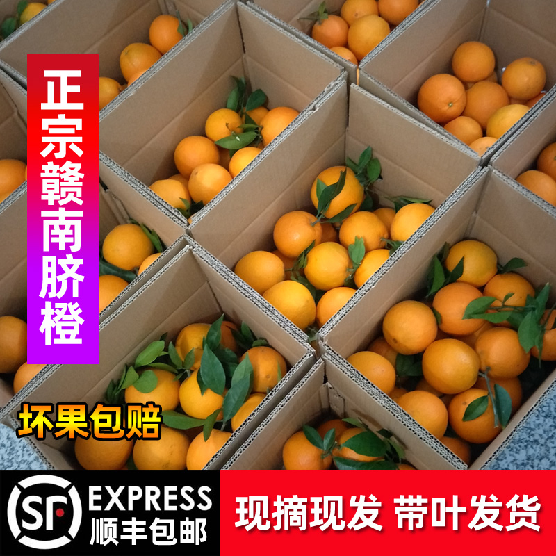 17省顺丰包邮!正宗江西赣州橙子赣南脐橙现摘现发新鲜