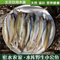密云水库 新鲜黑鱼 乌鱼 天然环境 一根主刺 酸