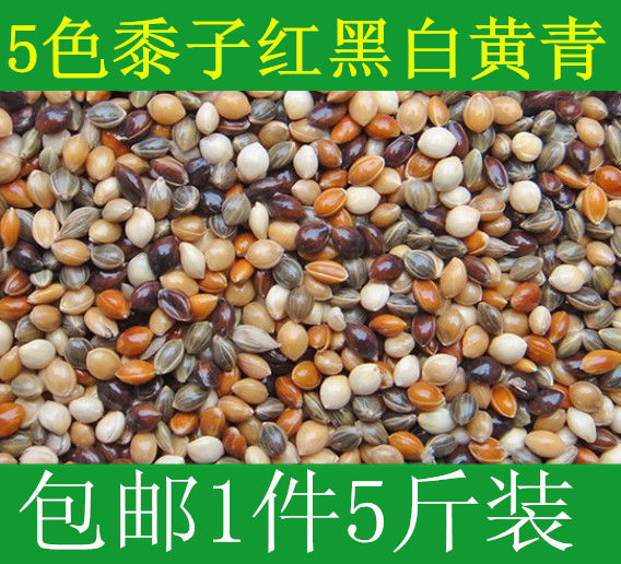 混合粮食中小型鹦鹉饲料5斤五色黍子