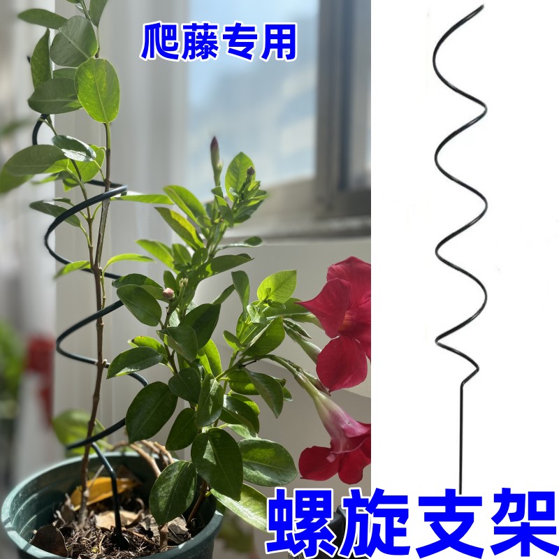 家用爬藤架子铁线莲月季花支架花盆植物攀爬支架室内固定花支撑杆