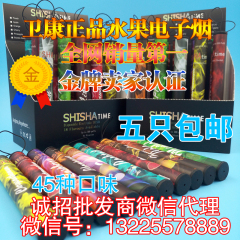 特价包邮shisha一次性电子烟500口 水果味健康烟 潮人必备水烟A