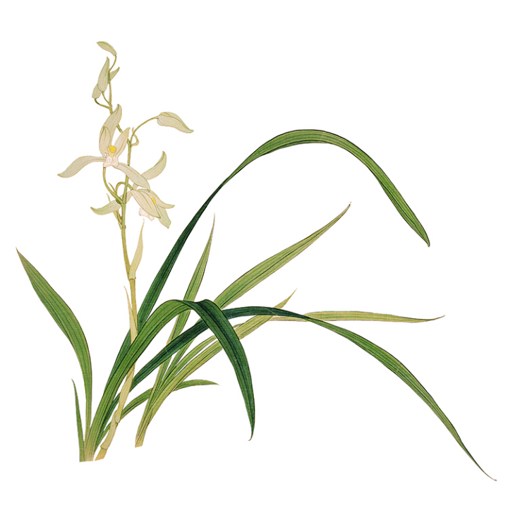 [包邮]苏绣diy套件初学手工装饰画