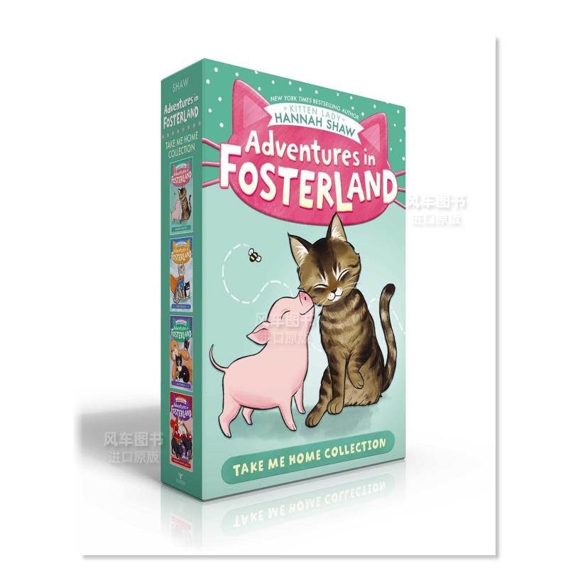 【预 售】养育院历险记带我回家系列（盒装）Adventures in Fosterland Take Me Home Collection (Boxed Set)英文青少年读物 原版