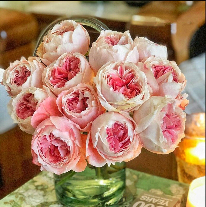 樱花公主-特价促销-优惠券领取-价格|多少钱|什么牌子好-35优惠券网站