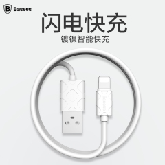 倍思 iPhone6/6s数据线苹果5加长手机6Plus充电线器快充ipad六P