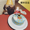 Kitty Dogs Sure birthday Pets Cake gift snacks Teddy France bucket manual self-control biscuit Kitty Dogs Sure birthday Pets Cake gift snacks Teddy France bucket manual self-control biscuit