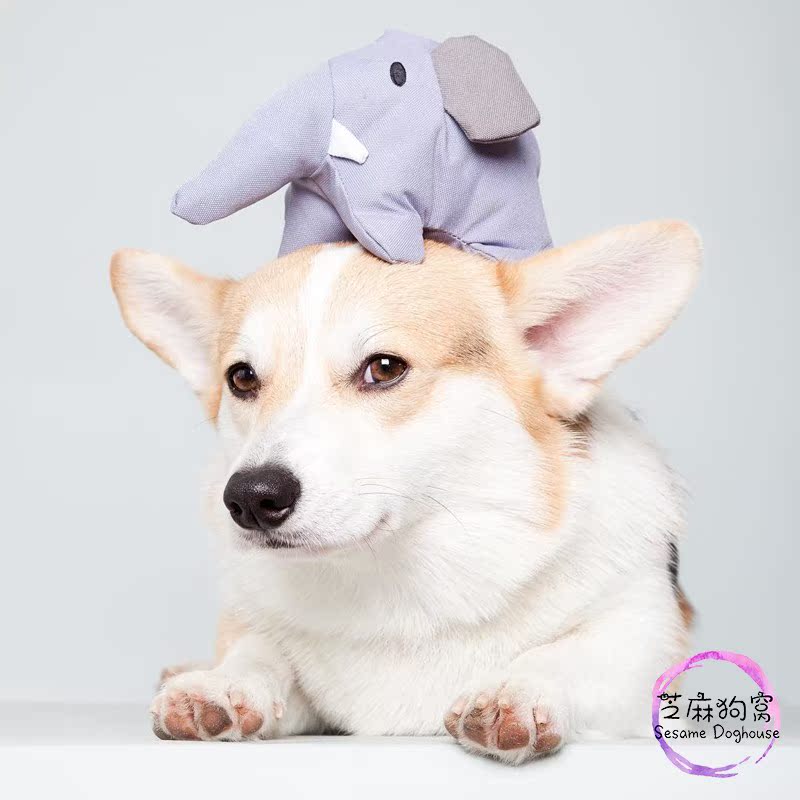 英国BeCo Pets Soft Toys-大家庭宠物玩具环保安全发声动物造型在类目 宠物/宠物食品及用品, 猫/狗玩具, 发声玩具中 - 来自Buy2taobao.com提供专业的淘宝代购服务