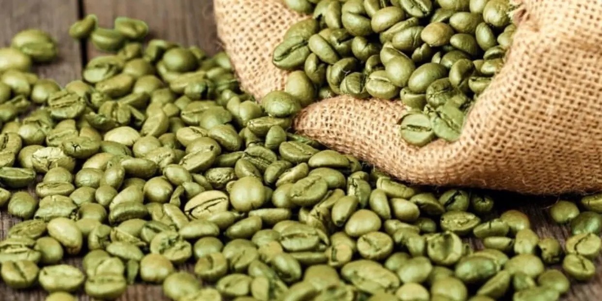 co2绿咖啡籽油 coffee oil 咖啡精油 眼部脸部水肿减酯 diy资本家