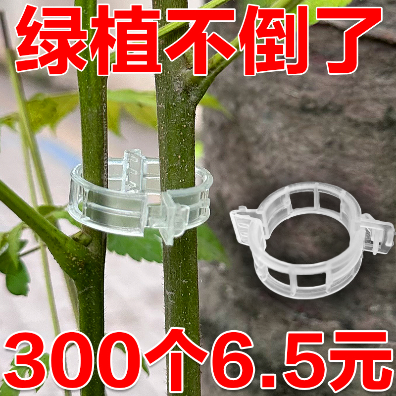 植物瓜果植物夹塑料绑蔓夹绑枝夹吊蔓夹扶蔓夹西红柿夹藤蔓固定夹