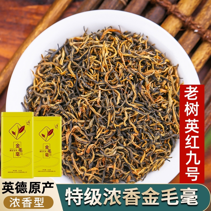 高山老树英德红茶英红九号金毛毫特级