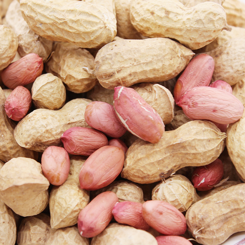 花生米 5斤装 农家自种_2019年带壳干花生 生新 3斤5斤装晒干生花生米