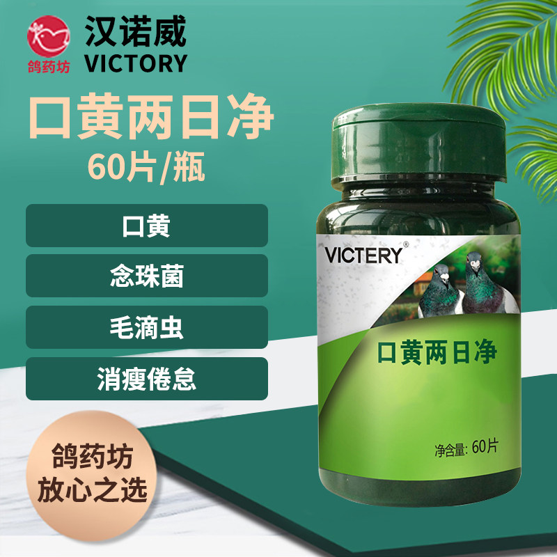 汉诺威鸽药 涨嗉一粒清赛信鸽用品药胀嗉软嗉嗉囊炎水绿便鸽子药
