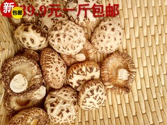 包邮香菇干货农家泌阳大花香菇剪脚500g香菇直径4到6公分新货