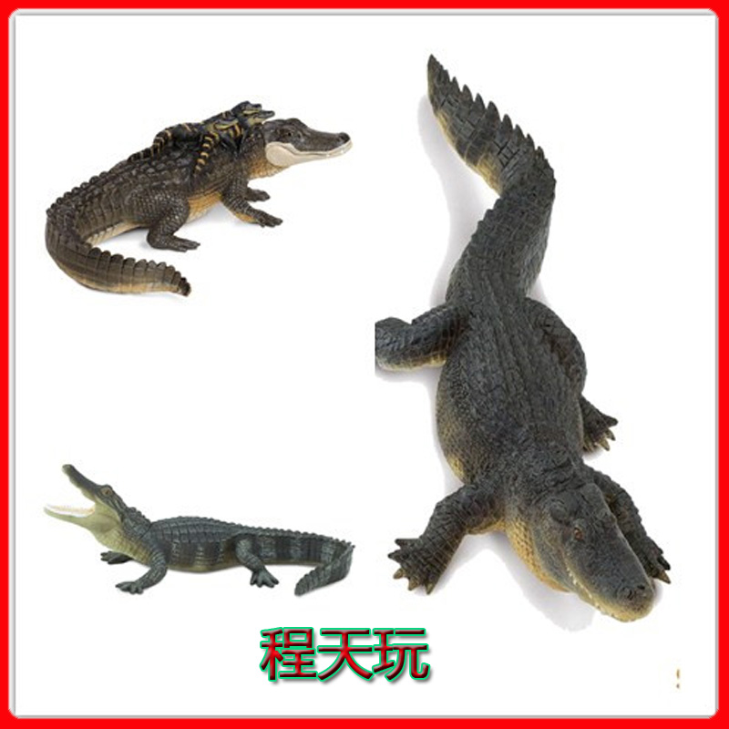 正版美国safari鳄鱼系列水陆两栖短嘴鳄美洲鳄鱼野生动物模型