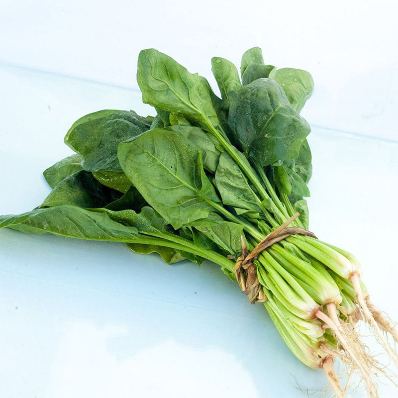 菠菜新鲜-特价促销-优惠券领取-价格|多少钱|什么牌子好-35优惠券网站